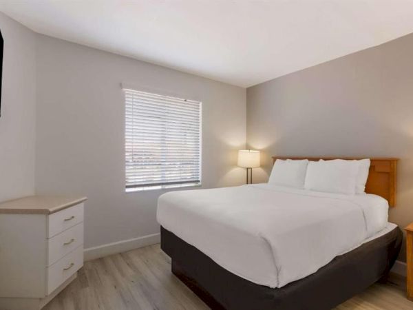 A clean, modern hotel room with a king bed, white linens, two bedside lamps, a wooden headboard, a small dresser, a window with blinds, and light wood floors.