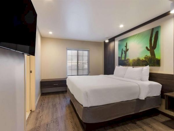 A modern hotel room with a large bed, dark wood furniture, a wall-mounted desert landscape artwork, and a flat-screen TV on the wall.
