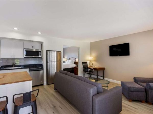 A modern open-plan living area with a small kitchen, two gray sofas, a wall-mounted TV, a desk, and a framed bed visible in the background, all in neutral tones.