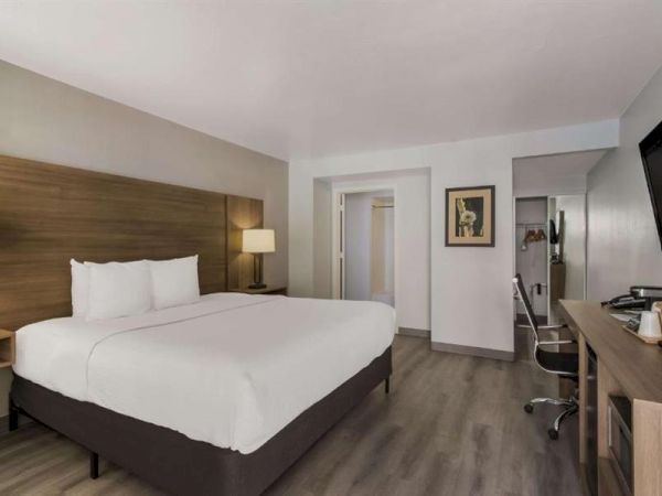 A hotel room with a large bed, two nightstands, a desk area, wall-mounted TV, and neutral-toned decor in a clean, modern style.