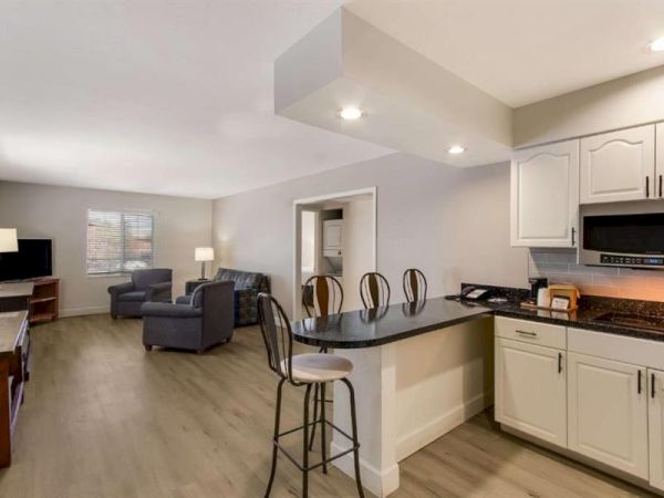 A modern open-concept kitchen and living area with a breakfast bar, white cabinets, stainless steel appliances, and cozy seating in neutral tones.