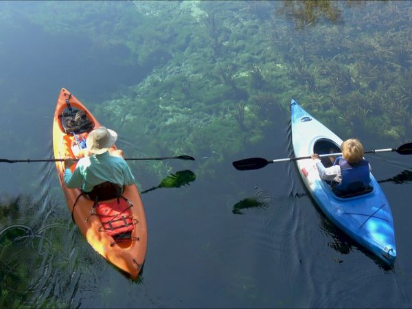 Two people in kayaks paddling on calm water, one orange and one blue, near green vegetation along the shore.